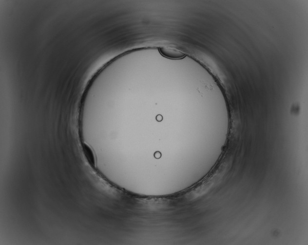 X0000101190952200807181508