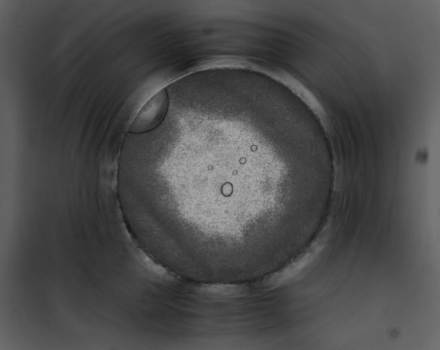 X0000101190953200807181508
