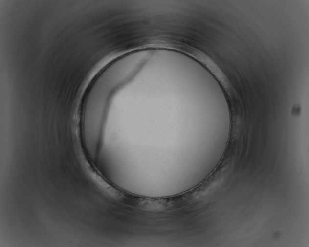 X0000101190955200807181508