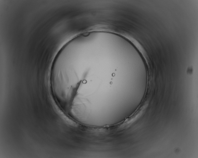 X0000101190957200807181508