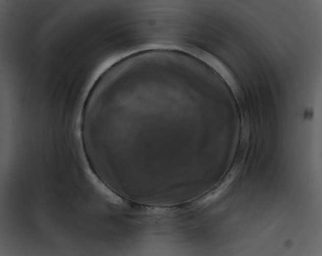 X0000101190958200807181508