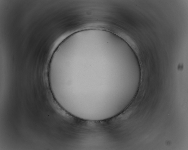 X0000101190960200807181508
