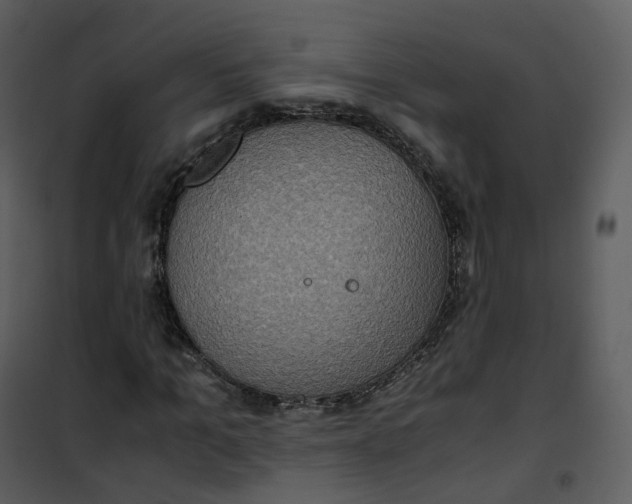 X0000101190965200807181507