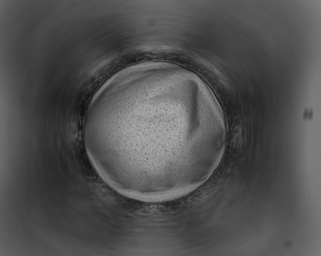 X0000101190966200807181507
