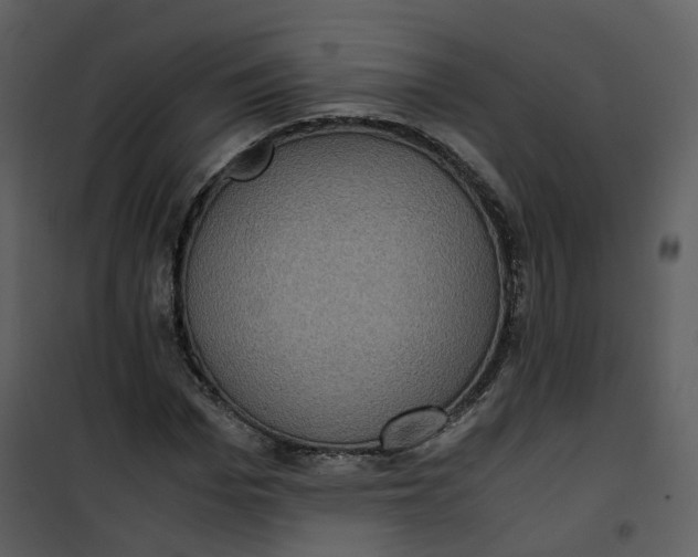 X0000101190969200807181507