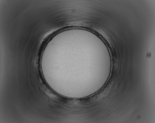 X0000101190971200807181507