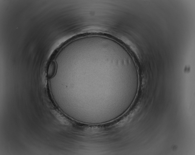 X0000101190973200807181507