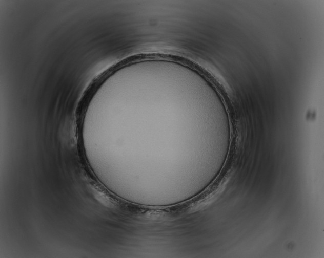 X0000101190974200807181507