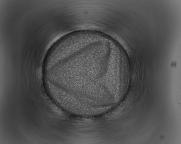 X0000101190975200807181507