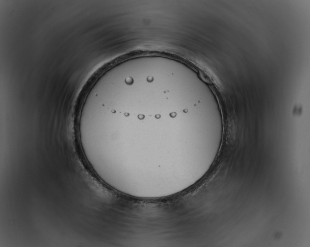 X0000101190976200807181507
