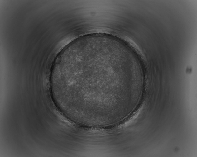 X0000101190977200807181507