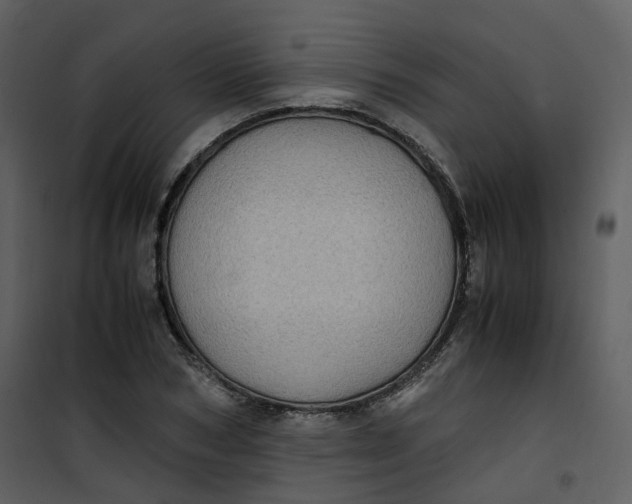 X0000101190978200807181507
