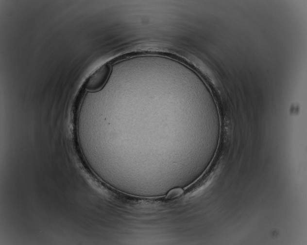 X0000101190981200807181507