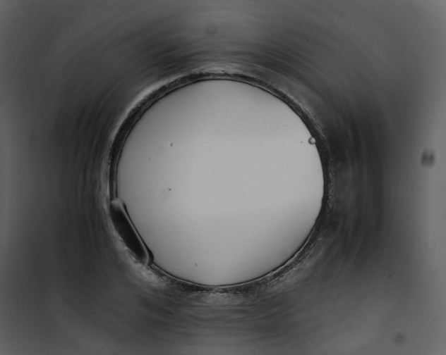 X0000101190984200807181507