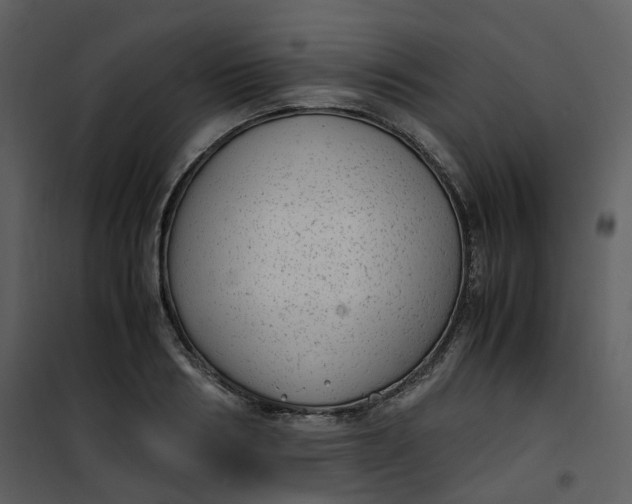 X0000101190986200807181507