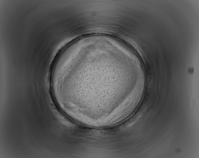 X0000101190987200807181507
