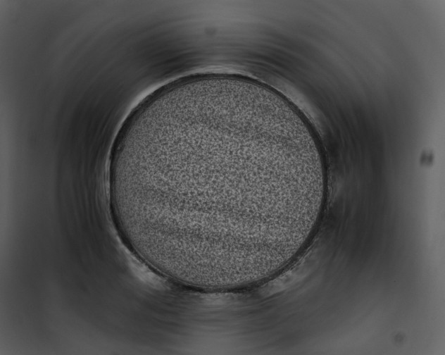 X0000101190988200807181507