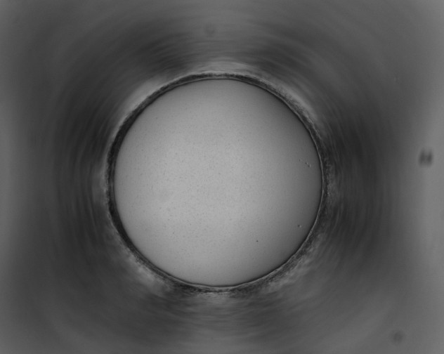 X0000101190990200807181507