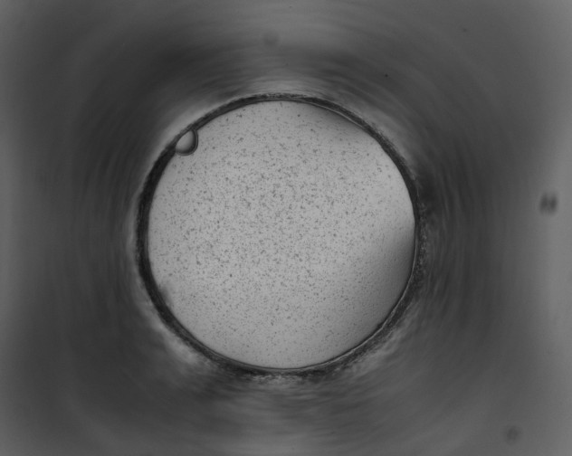 X0000101190991200807181507