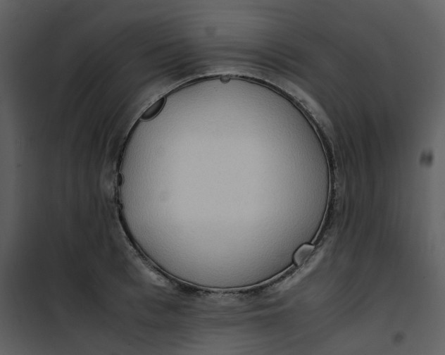 X0000101190993200807181507