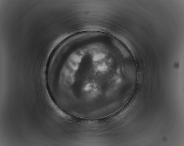 X0000101190995200807181507