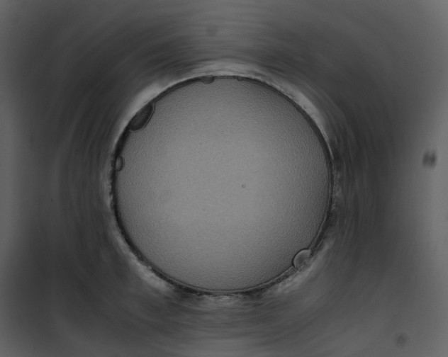 X0000101190997200807181507