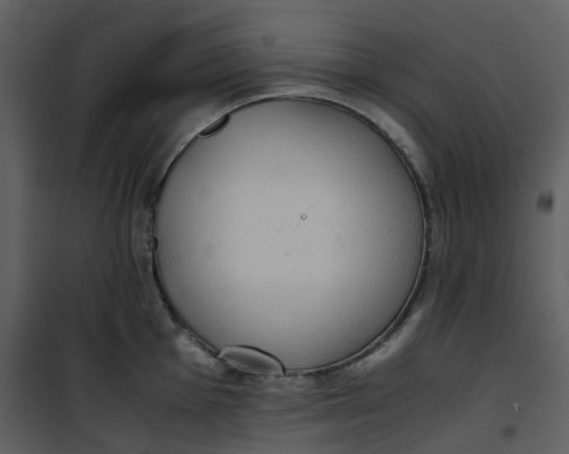 X0000101191001200807181506