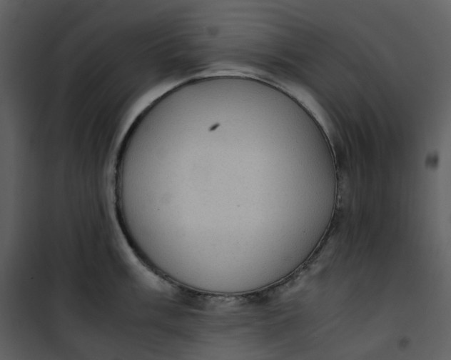 X0000101191003200807181506