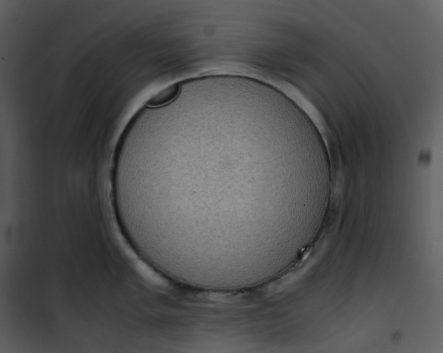 X0000101191005200807181506