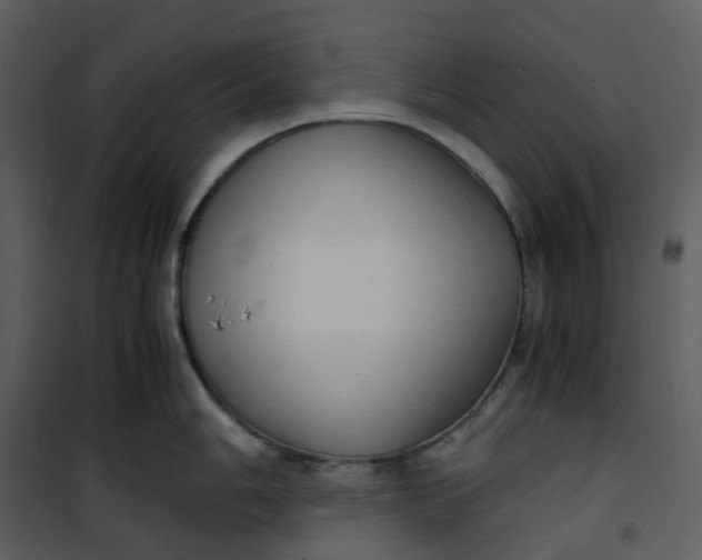 X0000101191006200807181506