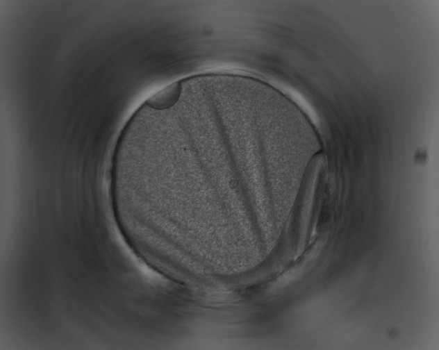 X0000101191007200807181506