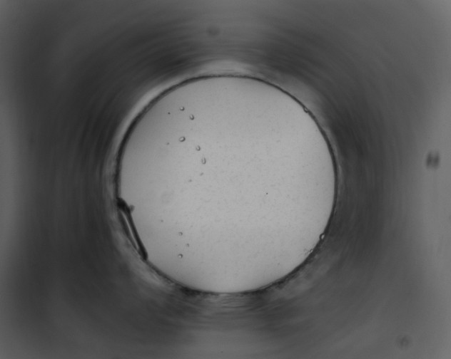 X0000101191008200807181506