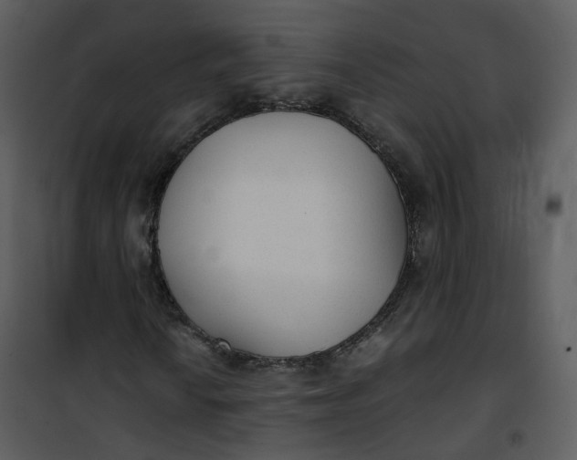 X0000101191010200807181506