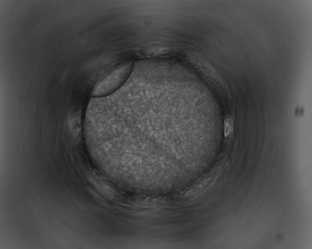 X0000101191011200807181506