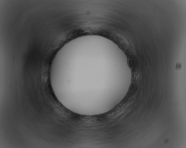 X0000101191012200807181506