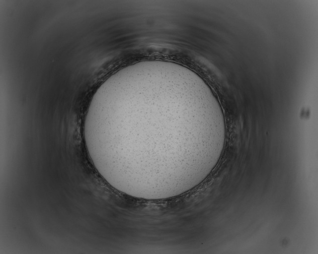X0000101191013200807181506