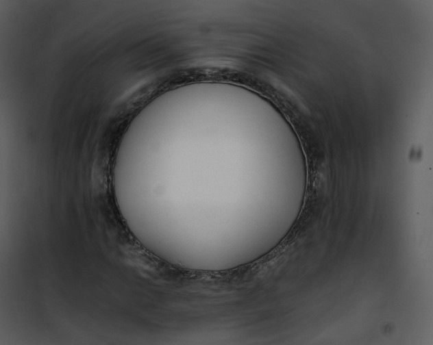 X0000101191014200807181506