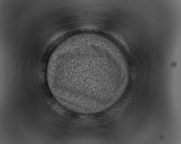 X0000101191015200807181506
