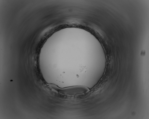 X0000101191016200807181506