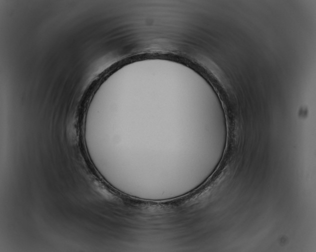 X0000101191018200807181506