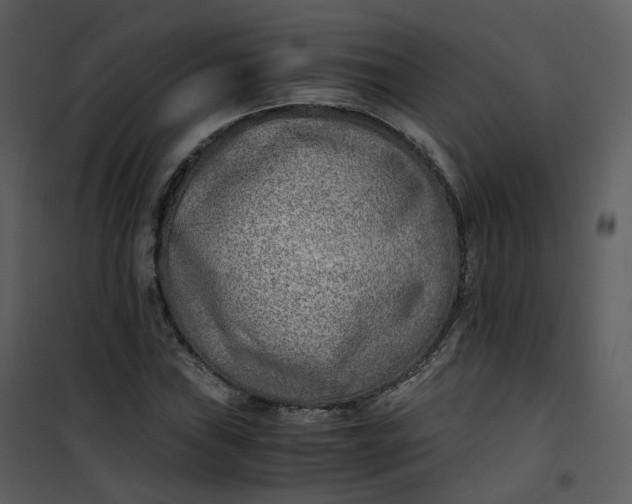 X0000101191019200807181506