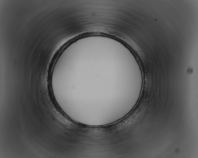 X0000101191020200807181506
