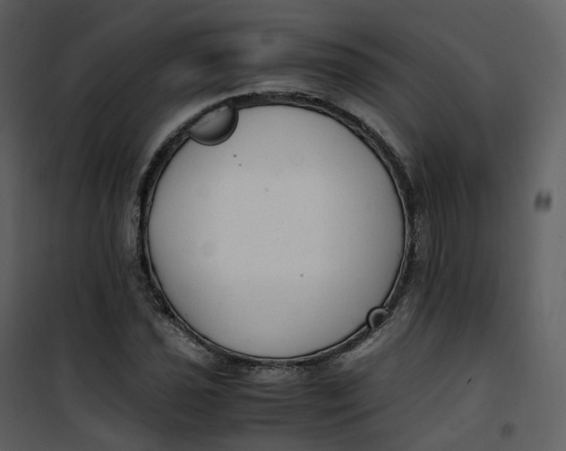 X0000101191021200807181506