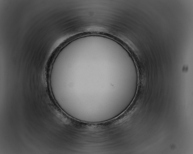 X0000101191022200807181506
