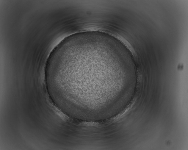 X0000101191023200807181506
