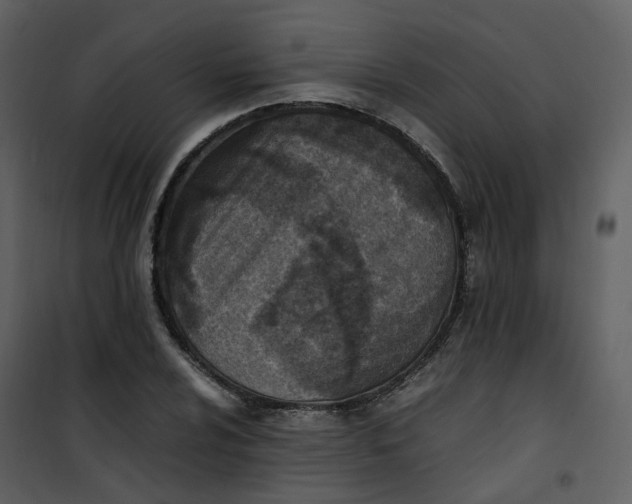 X0000101191024200807181506