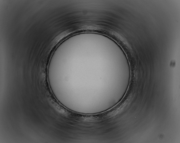 X0000101191025200807181506