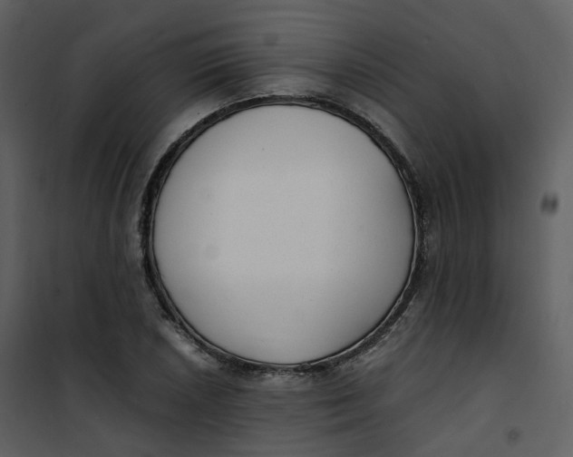 X0000101191026200807181506