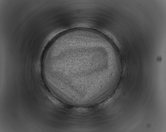 X0000101191027200807181506
