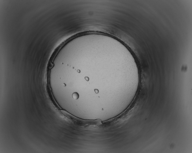 X0000101191028200807181506